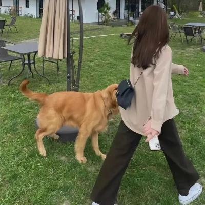 生命诚可贵